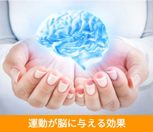 脳を掌にのせているイメージ画像