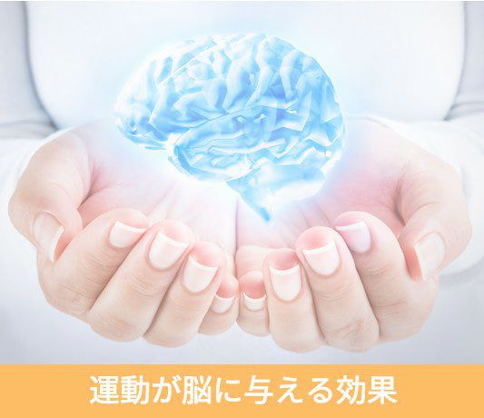 脳を掌にのせているイメージ画像