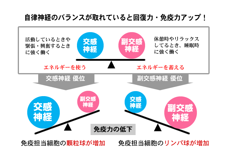 自律神経のバランス